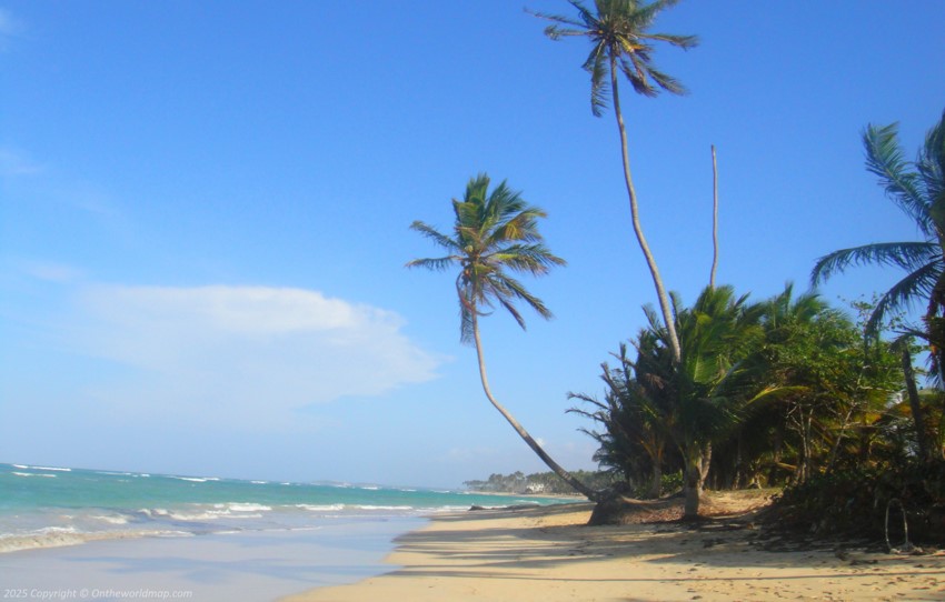 Beach near Punta Cana, Dominican Republic Beach near Punta Cana, Dominican Republic