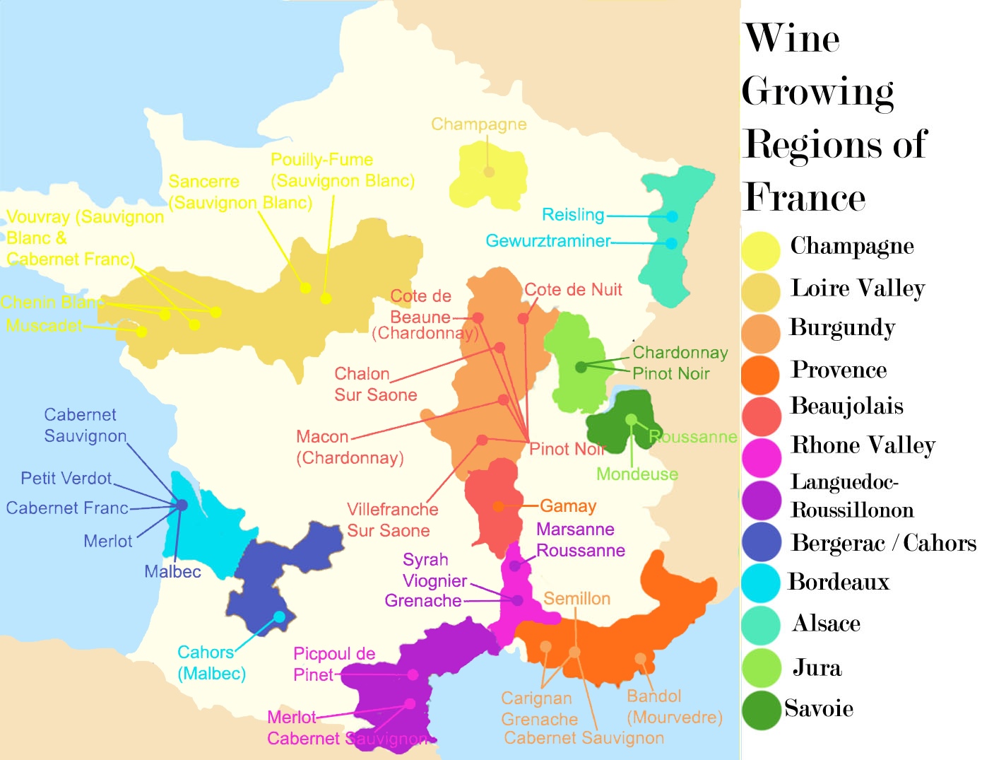 THE WINES OF FRANCE