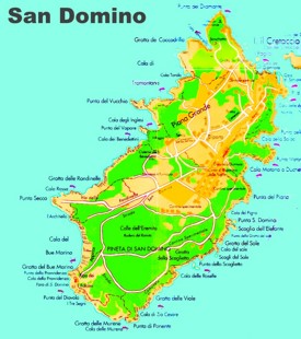San Domino island map