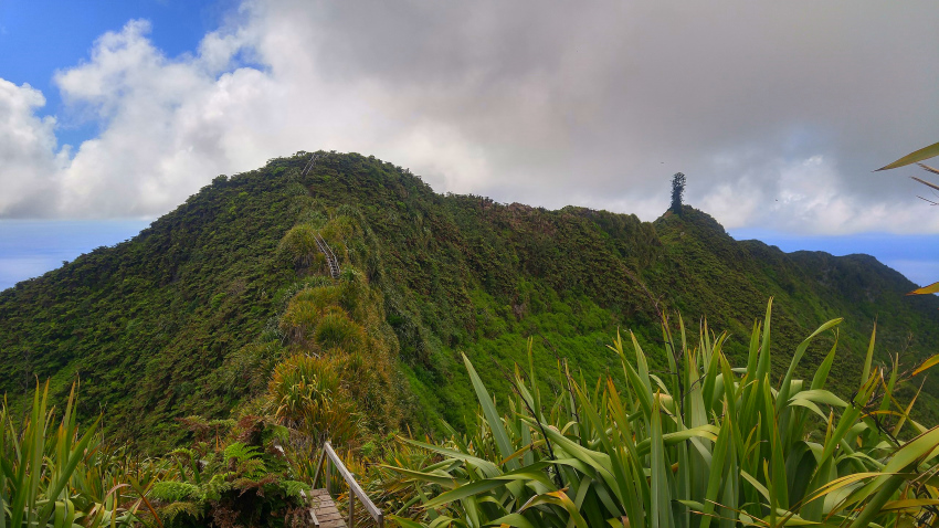 Diana's Peak (Saint Helena) Diana's Peak (Saint Helena)