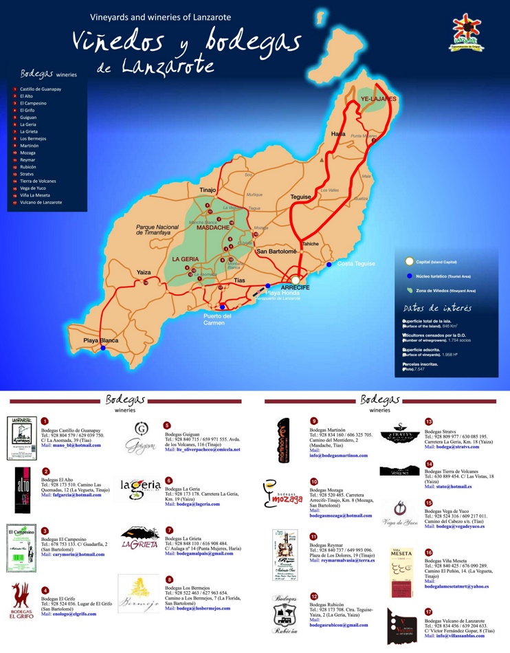 Lanzarote vine map