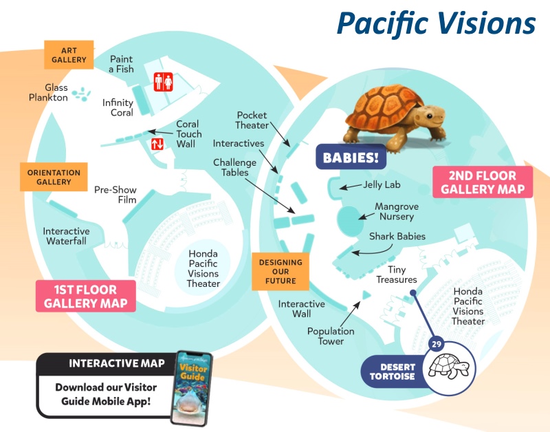 Pacific Visions Map