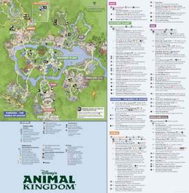 Disney's Animal Kingdom Map