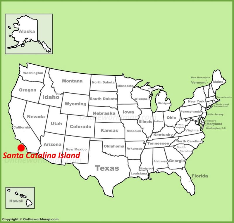 Santa Catalina Island location on the U.S. Map