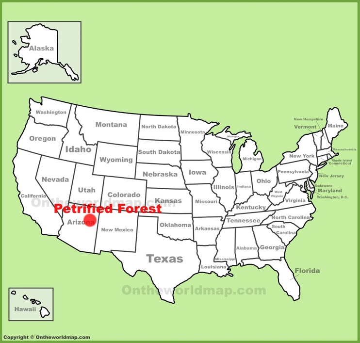 Petrified Forest location on the U.S. Map