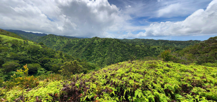 Mānana Ridge Trail, Oahu Mānana Ridge Trail, Oahu