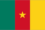 Flag of Cameroon