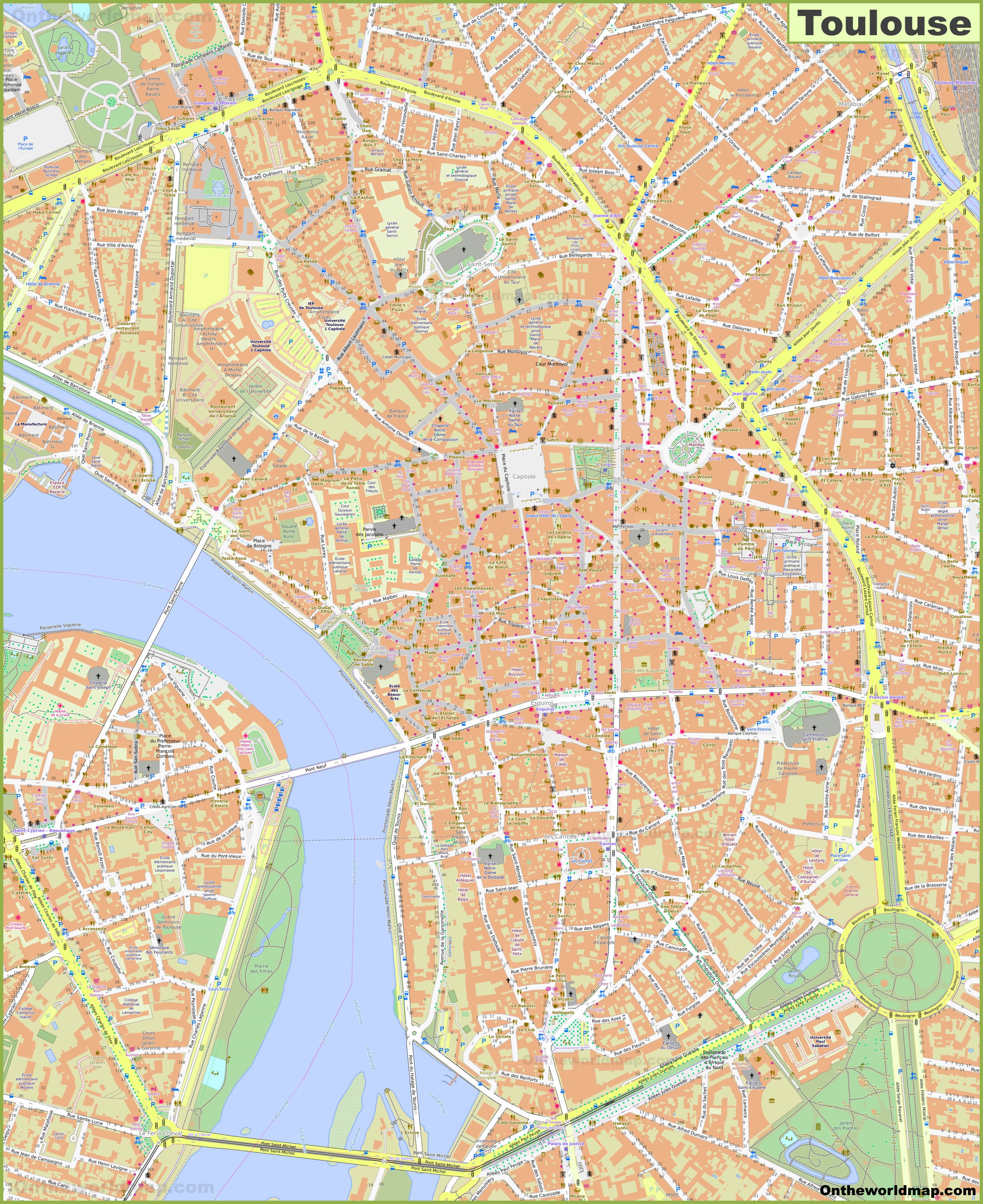 Kaart Frankrijk Toulouse - Vogels