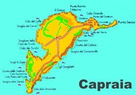 Capraia island map