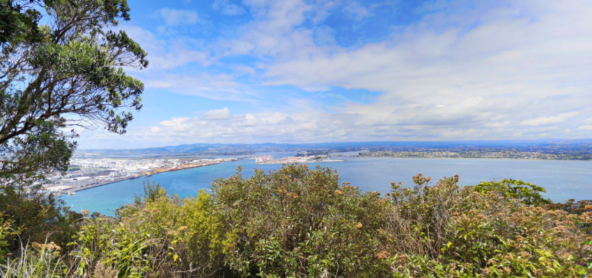 View of Tauranga from Mount Maunganui