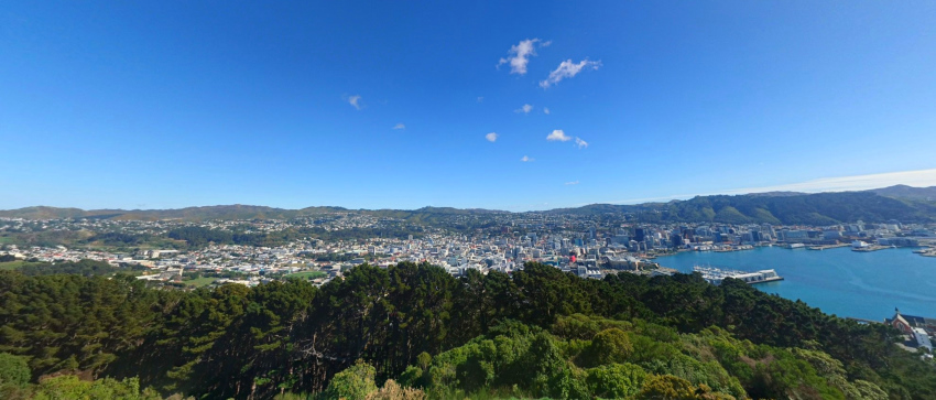 View of Wellington from Mount Victoria Lookout