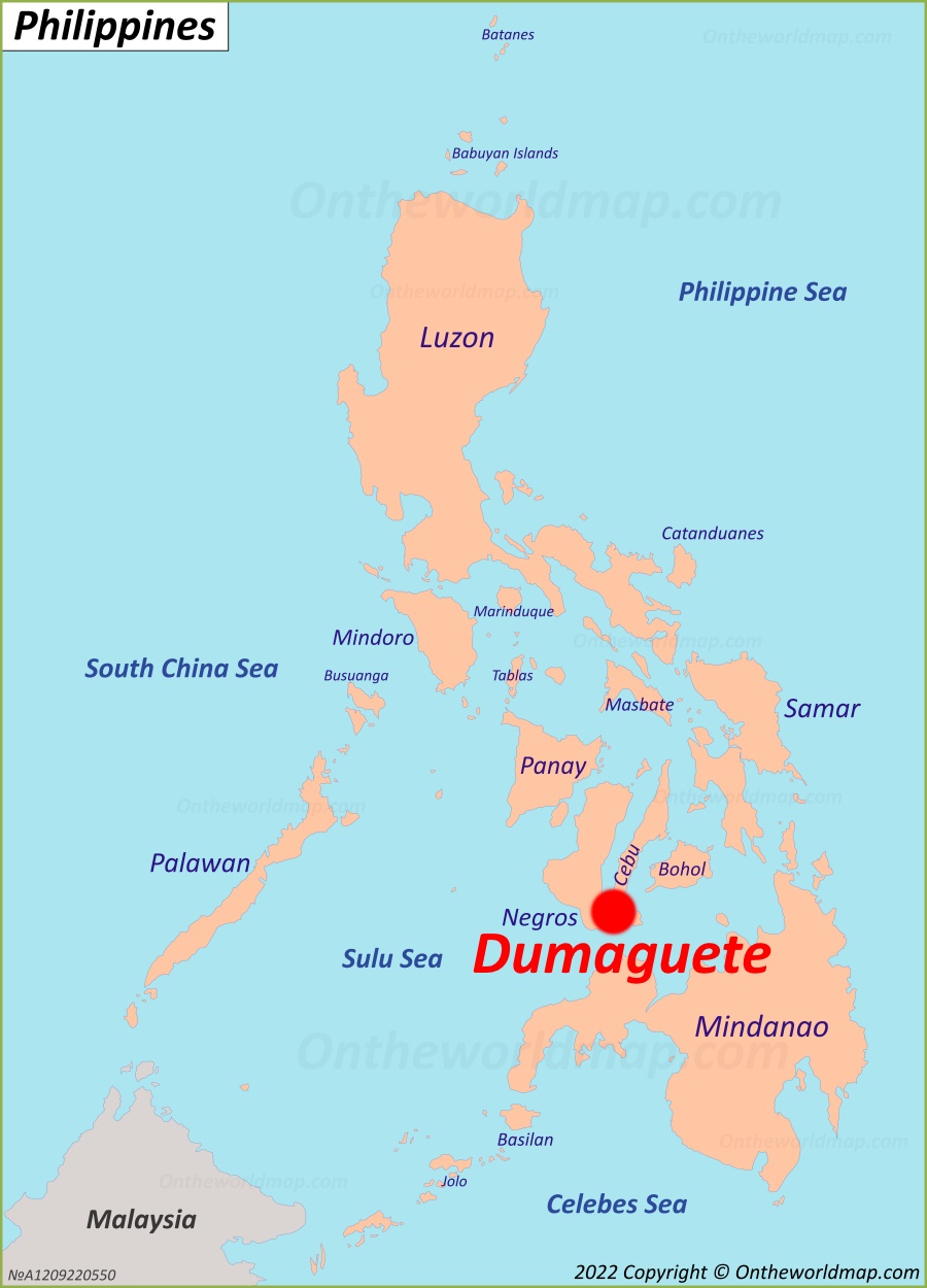 dumaguete tourist map