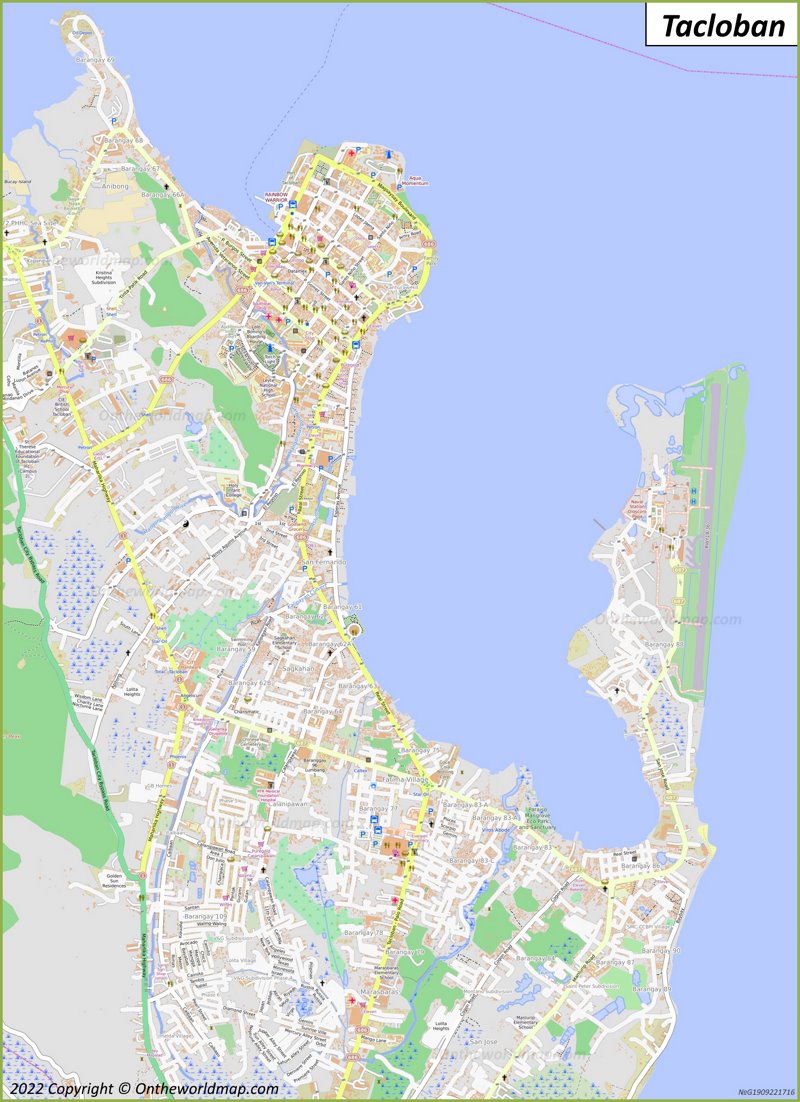 Detailed Map Of Tacloban Max 