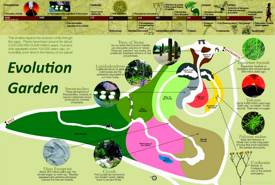 Evolution Garden Map