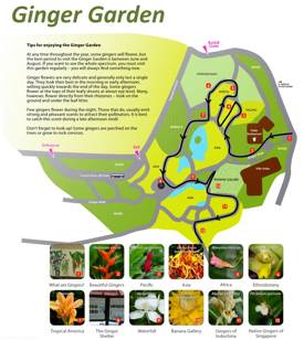 Ginger Garden Map