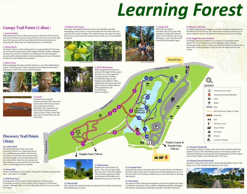 Learning Forest Map