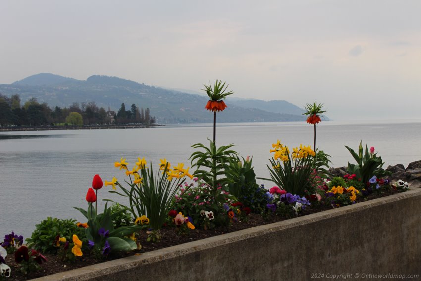 Lake Geneva, Lausanne