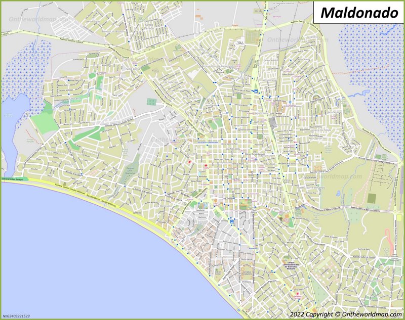 Mapa De Maldonado Uruguay Mapas Detallados De San Fernando De Maldonado