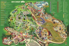 San Diego Zoo map