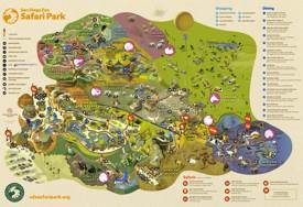 San Diego Zoo Safari Park Map