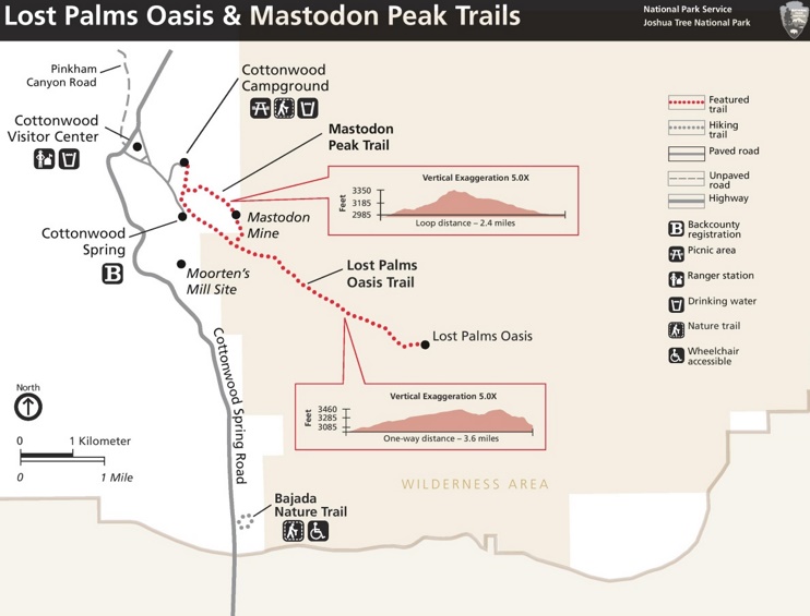 Lost Palms Oasis and Mastodon Peak Trails map