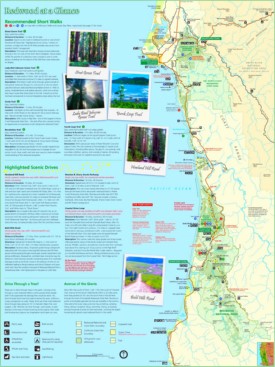 Large detailed tourist map of Redwood National Park