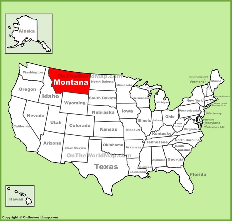 Montana location on the U.S. Map